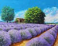 Lavendel Linien Garten